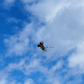 1721112033749